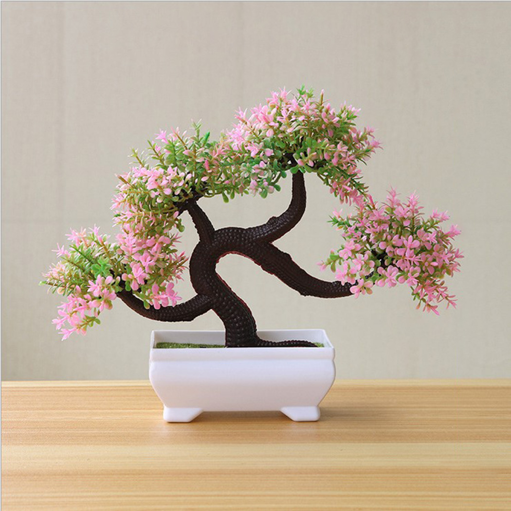 Pianta Bonsai Decorativa da In - Bonsai Garden Backyard recensione e prezzo