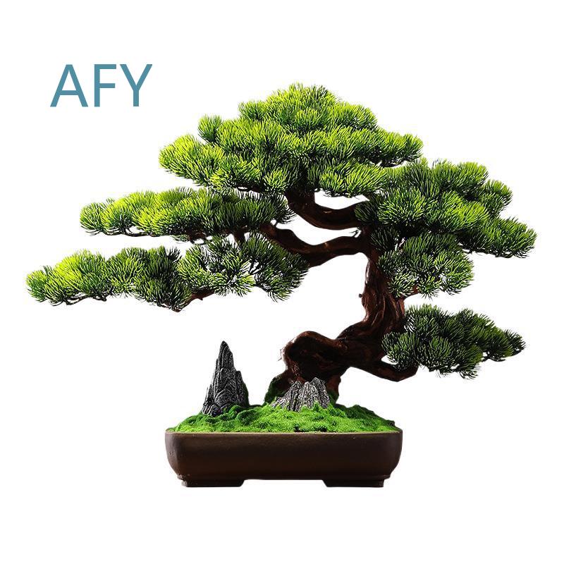 Bonsai di Pino Simulato per Ar - Bonsai Garden Entrance recensione e prezzo