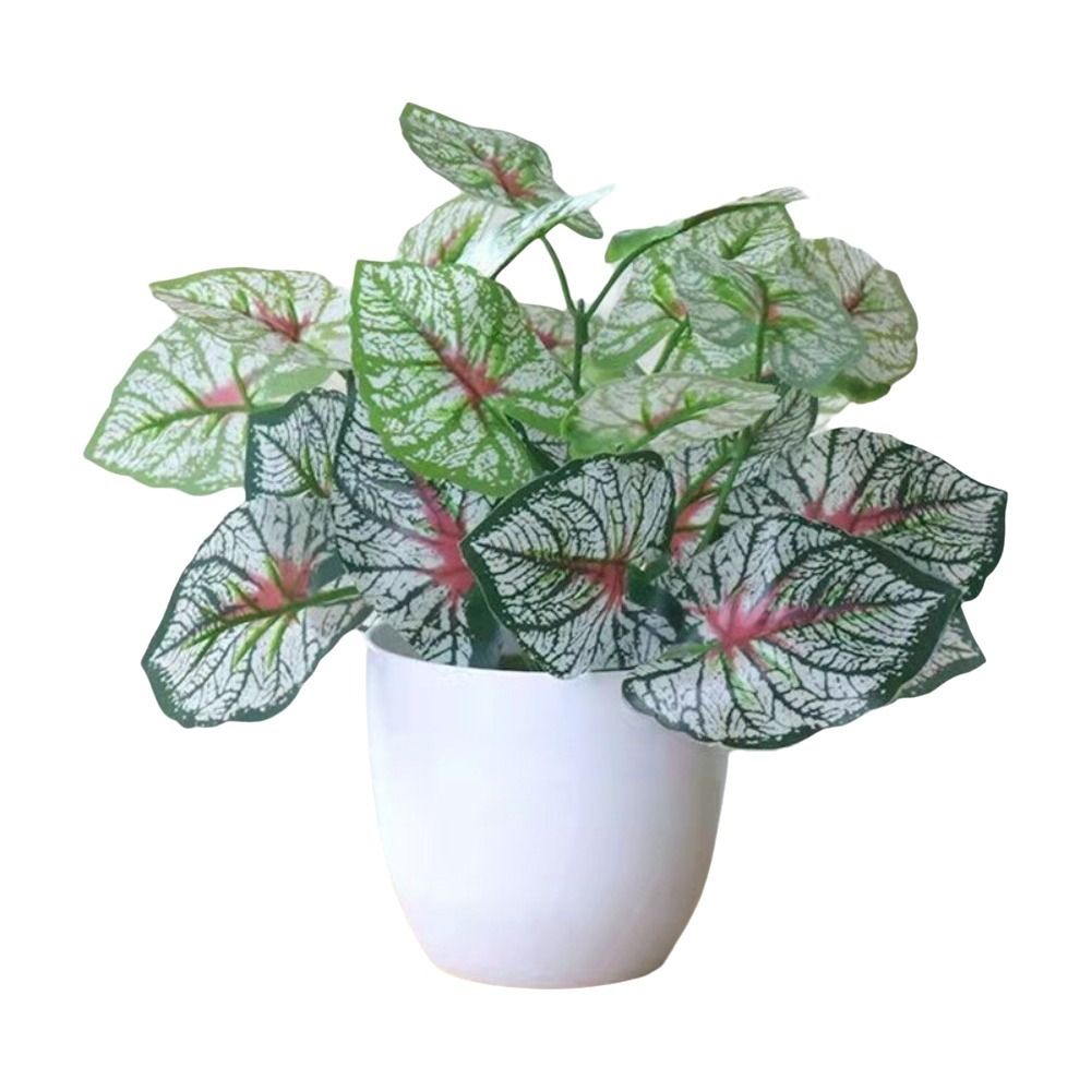 Mini Fiori Artificiali in Vaso - Bonsai Gardenia recensione e prezzo