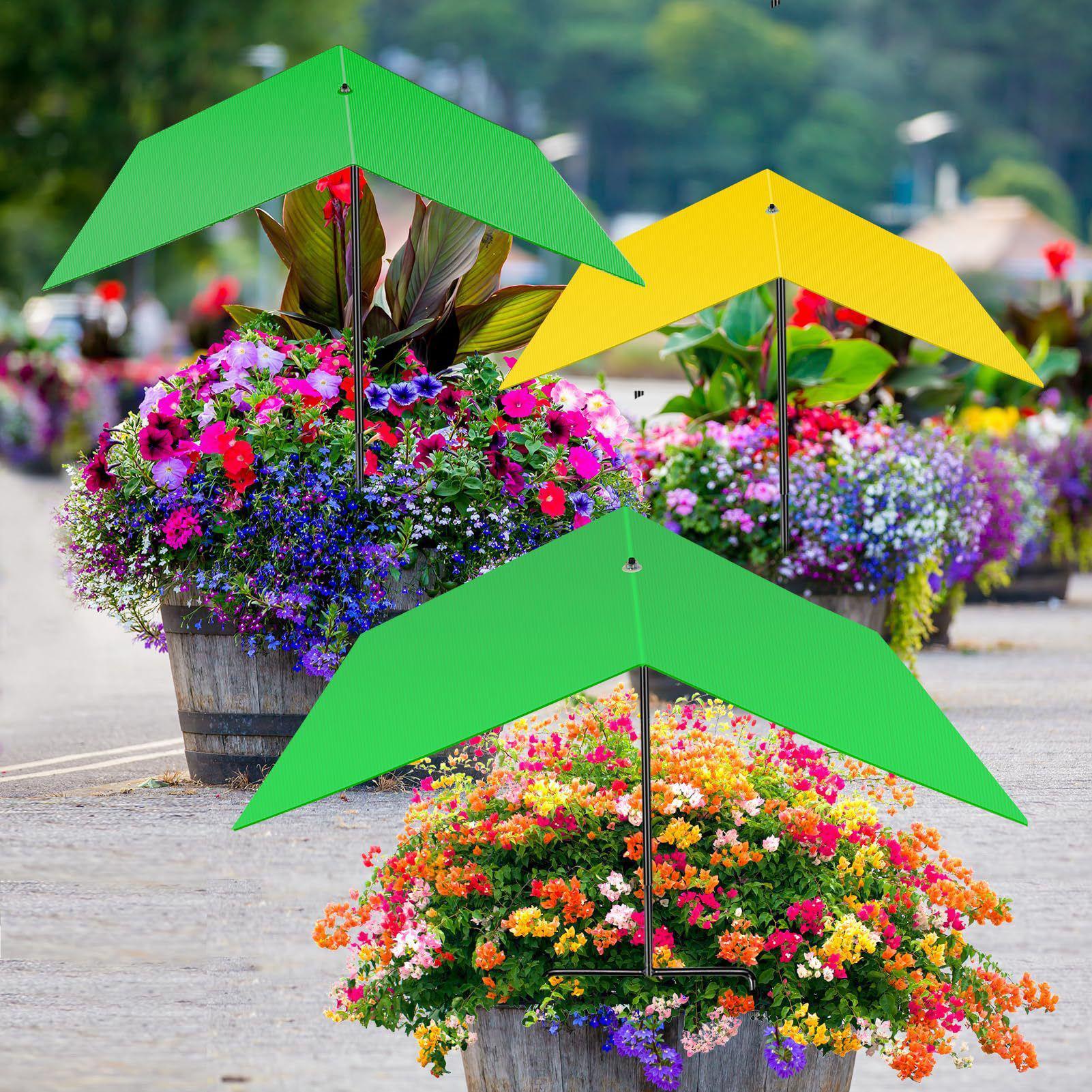 Ombrelloni Parasole Anti-UV pe - Bonsai Garden Backyard recensione e prezzo