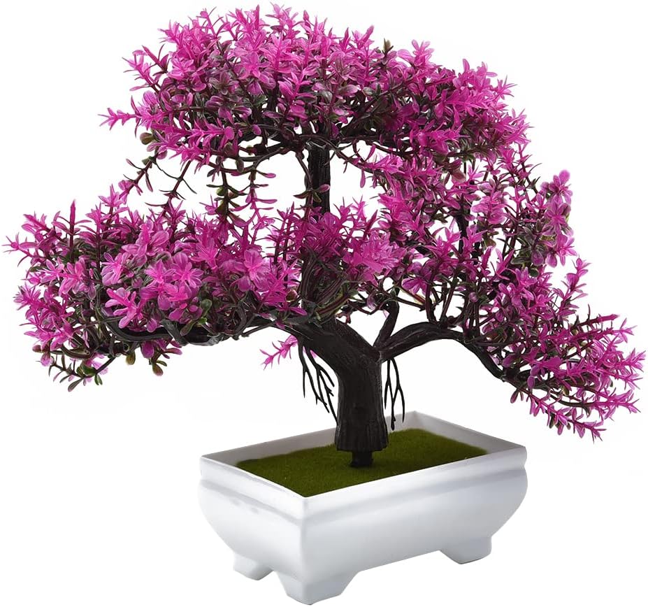 Piante artificiali Bonsai Pian - Bonsai Gardenia recensione e prezzo