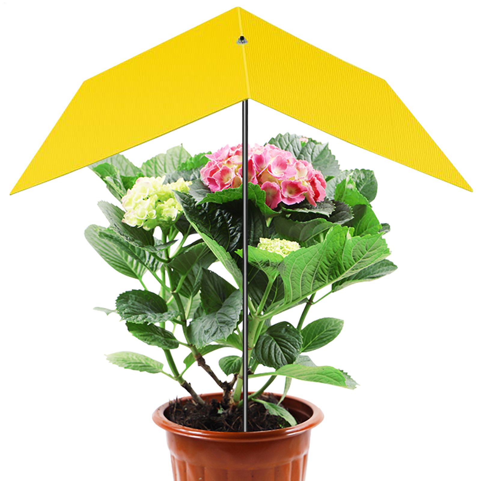 Ombrelli per piante da esterno - Bonsai Garden Backyard recensione e prezzo