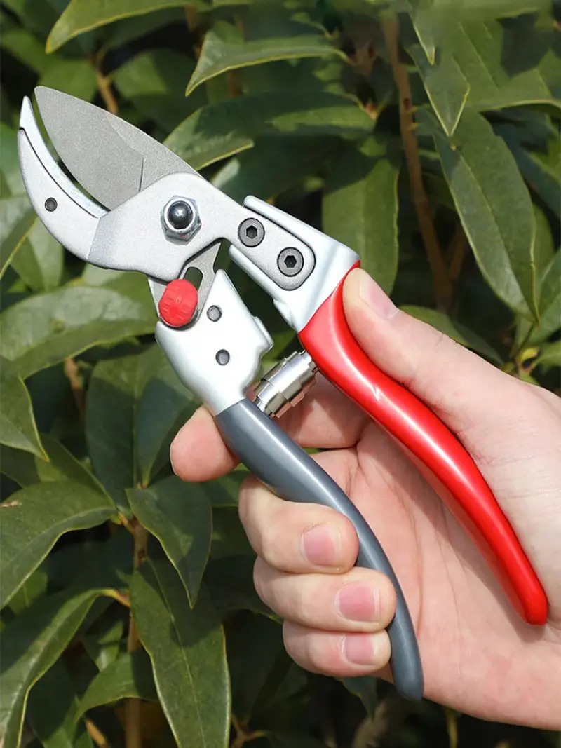 Forbici da potatura multifunzi - Bonsai Garden Backyard recensione e prezzo